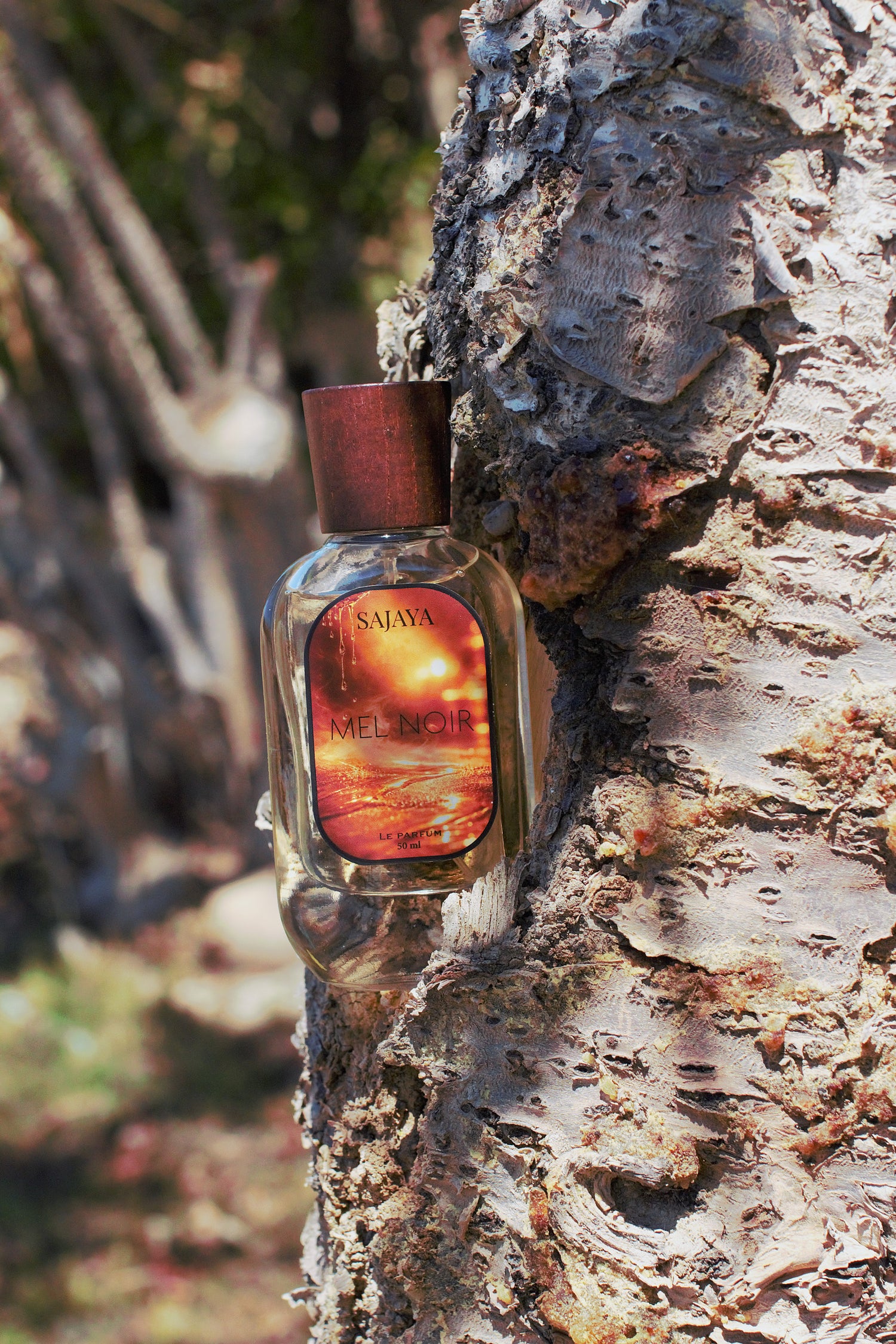 SAJAYA Perfume Mel Noir bottle against a tree bark background
